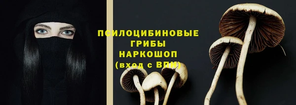 Альфа ПВП Белокуриха