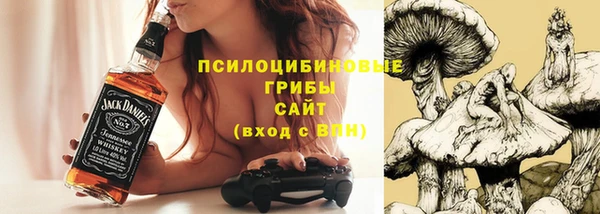 Альфа ПВП Белокуриха