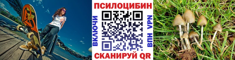 Псилоцибиновые грибы Psilocybine cubensis  Гатчина 
