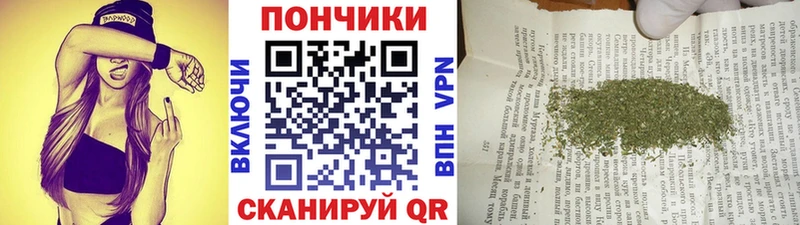 где продают наркотики  Гатчина  Бошки Шишки семена 